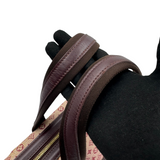 LOUIS VUITTON JOSEPHINE MINI LIN BAG