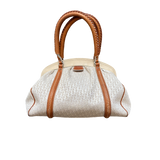 DIOR WHITE TROTTER MINI BOSTON BAG